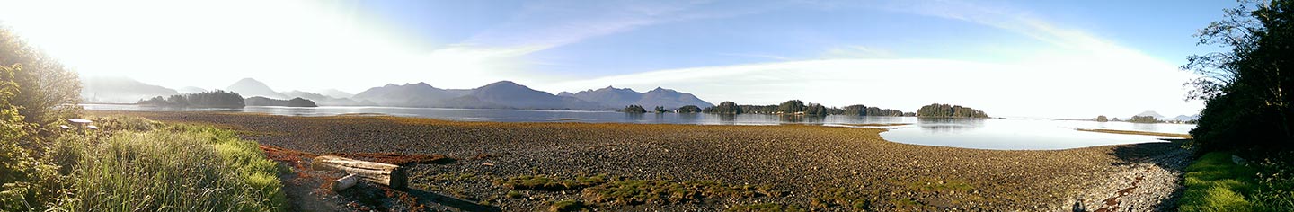 View from Totem Park.  Photo by Mim McConnell